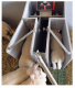 羊用飼喂機器人